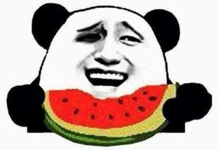 朝阳吃瓜群众网 吃瓜视频在线观看,独家揭秘，吃瓜视频在线观看盛宴